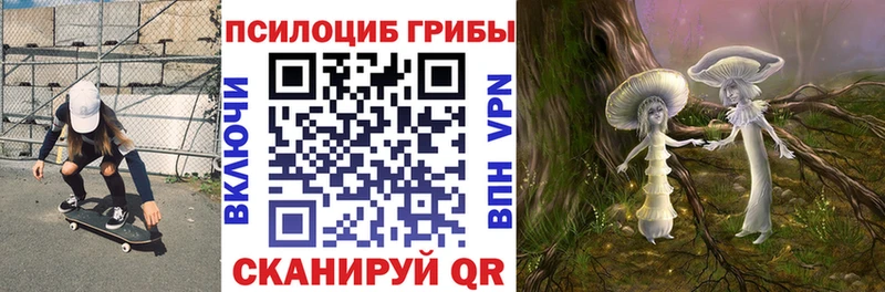 OMG как войти  где найти наркотики  Староминская  Галлюциногенные грибы GOLDEN TEACHER 