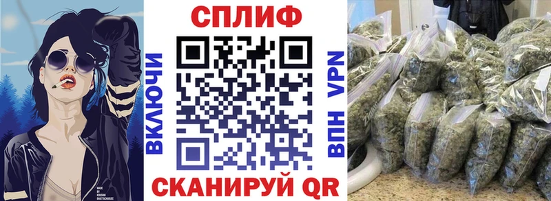 Каннабис Amnesia  mega ссылки  Староминская 
